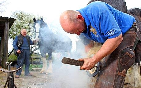 pfarrier1_1440163c